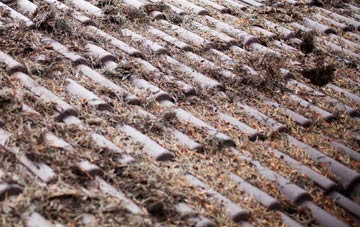 Barry Island roof cleaning companies